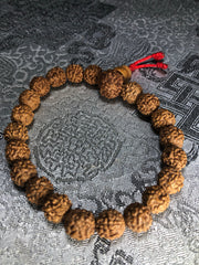 RudRaksha Wrist Mala(TGWM 34)