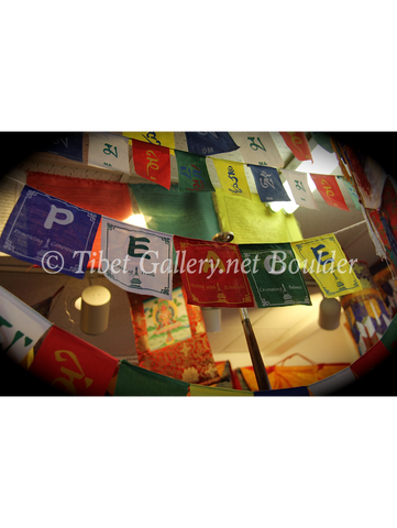 Prayer Flag (TGPF5)