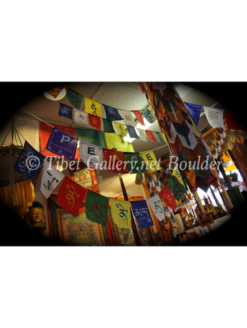 Prayer Flag (TGPF6)